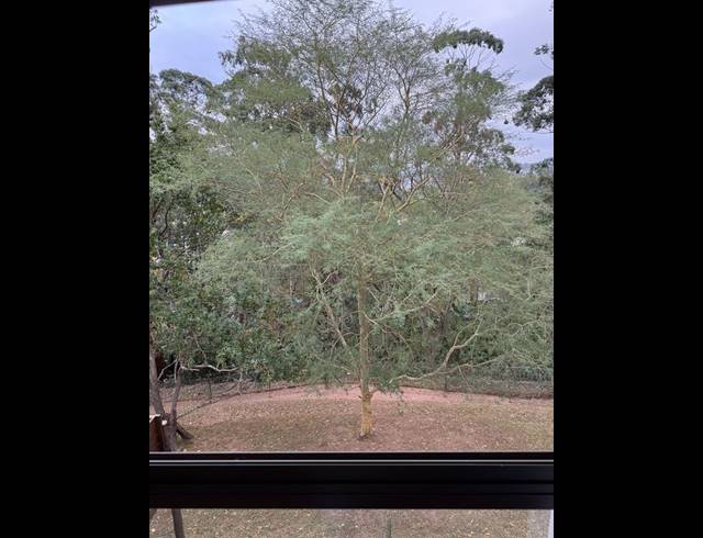 3 BEDROOM SIMPLEX FOR SALE IN COWIES HILL